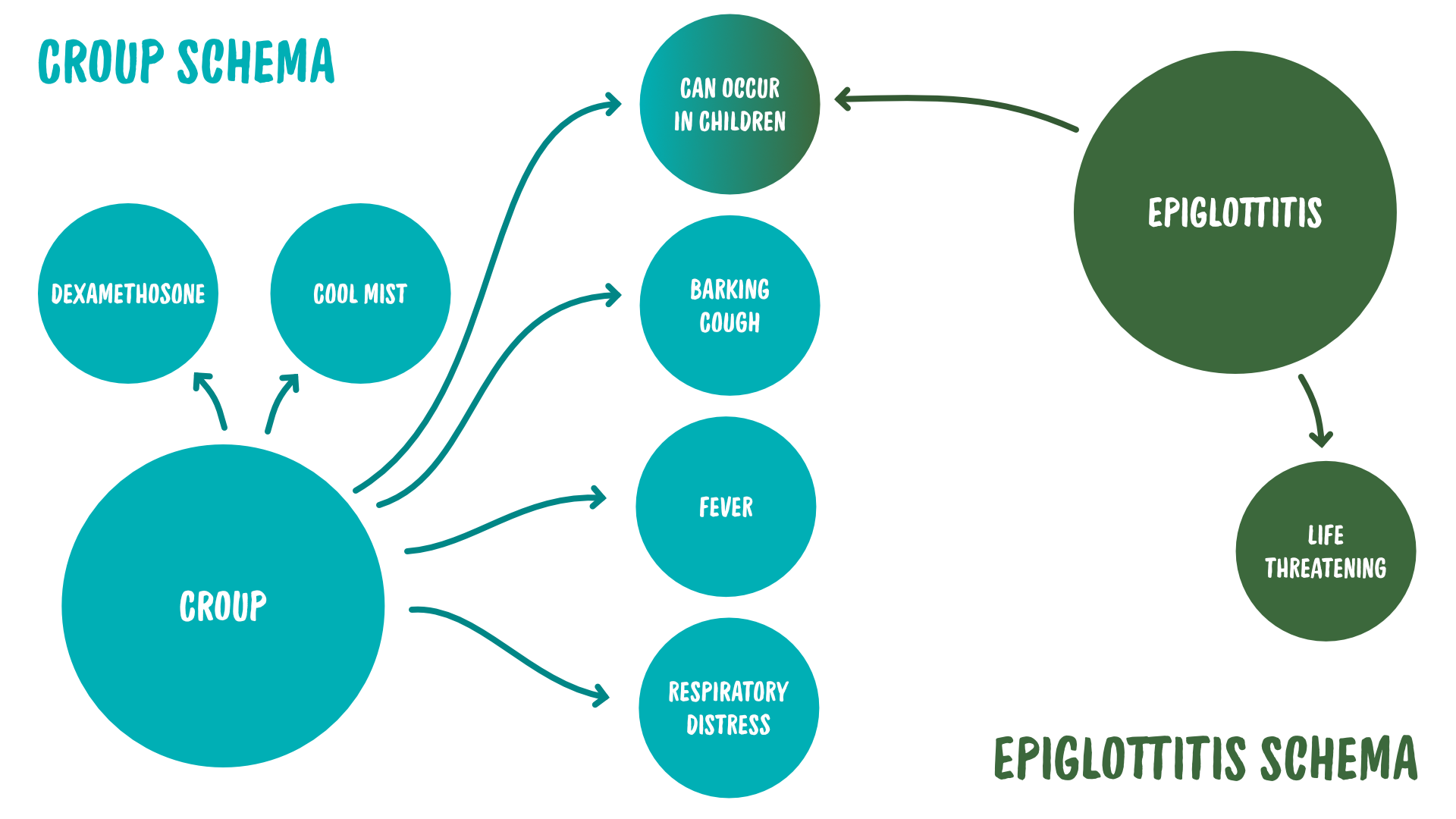 A visual diagram showing the interlinking nodes of Maeve's croup and epiglottitis schemas.