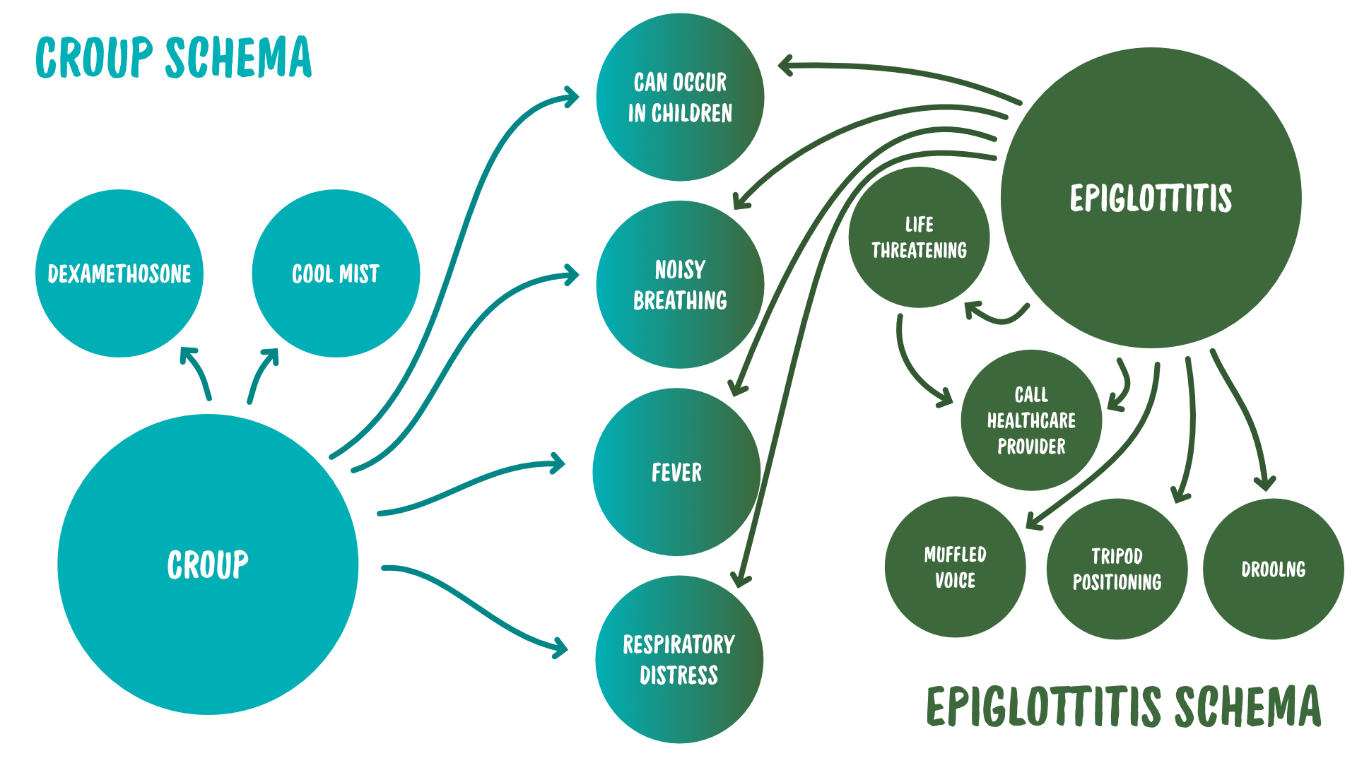 A visual diagram showing the interlinking nodes of Maeve's precetor's croup and epiglottitis schemas.